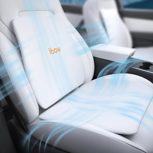 DGXWLLW Seat Cushion and Back Support Pillow for Tesla Model Y 3 S X Hollow-Out Breathable Mesh Seat Pad and Back Strong Support Hip Waist Lumbar Pain Relief for Driving Car Office Home Use, White