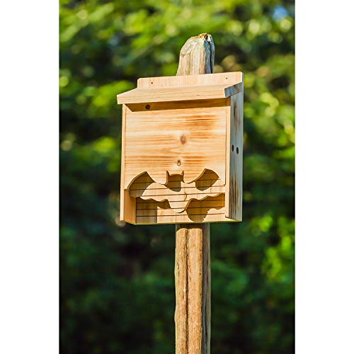 Evergreen Garden Beautiful Summer Bat Shaped Bat House - 5 X 13 X 10 Inches Fade And Weather Resistant Outdoor Decoration For Homes, Yards And Gardens #TOP1