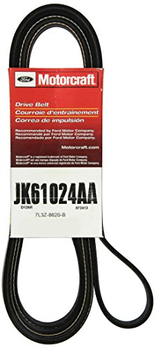 Motorcraft JK61024AA courroie striée de rechange d'origine pour moteur automobile