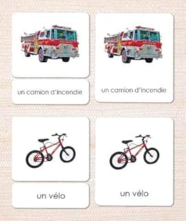Le Transport (Transportation) French 3-Part Cards