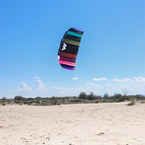 Wolkenstürmer Paraflex SE 2.1 Lenkmatte (schwarz-Rainbow) 2-Leiner Kite - Lenkdrachen im flugfertigen Set mit Dyneema-Leinen, Lenkbar und gepolsterten Handschlaufen