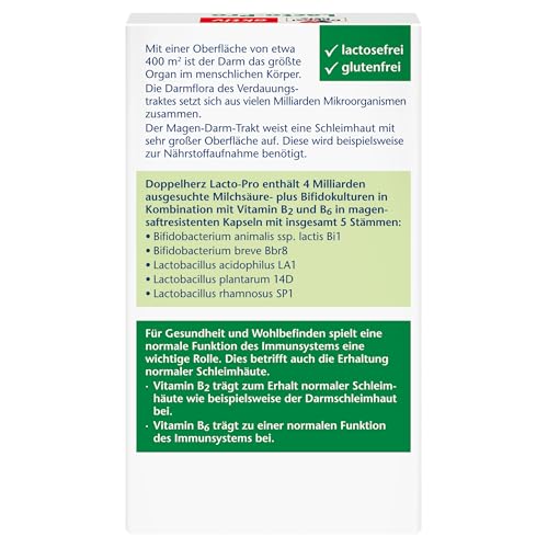 Doppelherz Lacto-Pro Milchsäurekulturen + Bifidokulturen + B2 + B6 - Vitamin B6 trägt zu einer normalen Funktion des Immunsystems bei - 20 vegetarische und magensaftresistente Kapseln