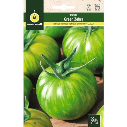 Mascarell Semillas, TOMATE, Semillas Huerto, TOMATE GREEN ZEBRA, Crea tu Propio Huerto Urbano y Cultivo en Casa, Plantas Hortícolas, 0,1 Gramos