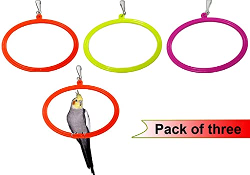MASHKI-Bird-SwingsToys-for-Love-Birds-Parrot-Parakeet-Budgie-Cocktail-pet-Birds-3-Bird-Swing-in-Multicolor-with-SS-Hook--for-Large-Medium-Size-Birds-575-inch-Toys-for-Birds