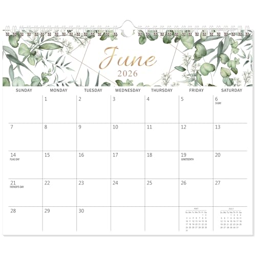 GuassLee Wall Calendar 2026 19-Months Hanging Desk/Wall Calendar Runs From Jun. 2026 to Dec. 2027 14 x 11.5 Monthly Planner Wall with Thick Paper Plant Design for Office School Home Organizing