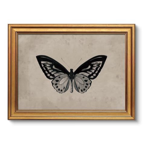 Image of VIYYIEA Vintage Gold Framed Wall Art for Living Room,【Ornithoptera alexandrae】-(16L x 12W)