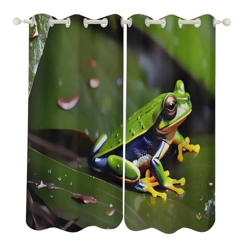 Rideaux occultants grenouille de la paix 132x182 cm pour salon et salle de bain - 2