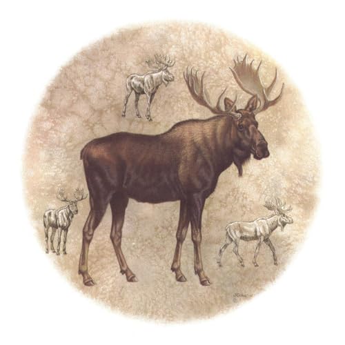 Moose Animal Overglaze Waterslide Ceramic Decals 5 Inch (1 Decal)