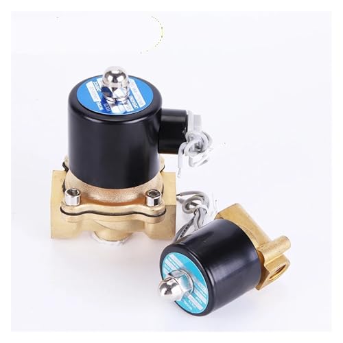 Électrovanne laiton 220V DN20 électrovanne eau air huile 2W200-20