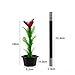 XJOYMAG Magic Stick to Flower Easy Magic Trick Toys Show Performance Prop Funny Toys for Adults