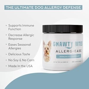 Gnawty Bites Allerg-Ease - Immunity Support Probiotics for Dogs with Kelp, Colostrum, & Bee Pollen - Dog Allergy Relief for Small to Large Breeds - 120 Soft Dog Allergy Chews (264 G) Gnawty Bites Allerg-Ease – Immunity Support Probiotics for Dogs with Kelp, Colostrum, & Bee Pollen – Dog Allergy Relief for Small to Large Breeds – 120 Soft Dog Allergy Chews (264 G)