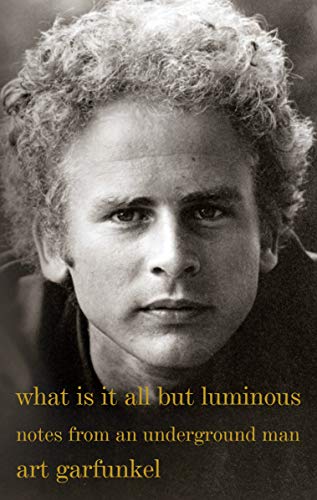 Télécharger What Is It All but Luminous: Notes from an Underground Man (English Edition) PDF