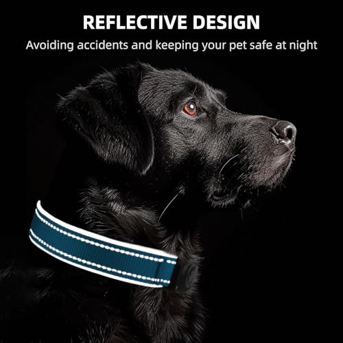 Image of Upgrade Dog Collar with AirTag Holder, IP68 Waterproof, Ocean Blue, S