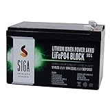 Die Lithium-Batterie ist um 2/3 leichter als eine Blei-Batterie und extrem zyklenfest: Bei 30% Entladung ca. 8000 Ladezyklen