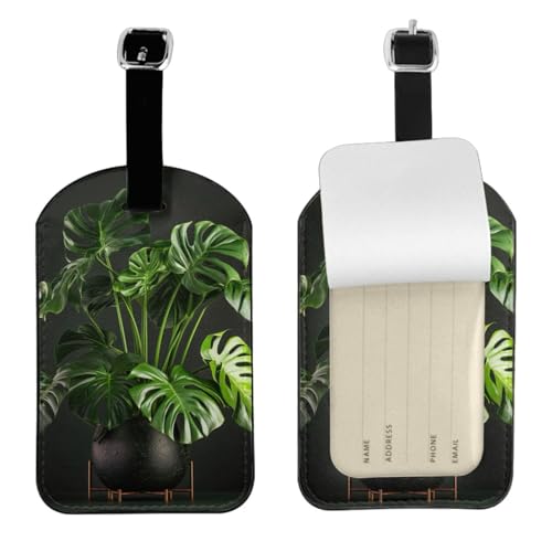 Monstera Deliciosa Étiquettes élégantes pour bagages Motif palmier banane 10,9
