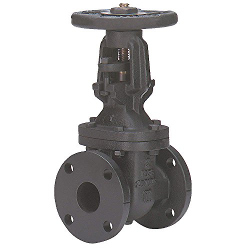 Gate Valve, Class 125, 3 In., Flange