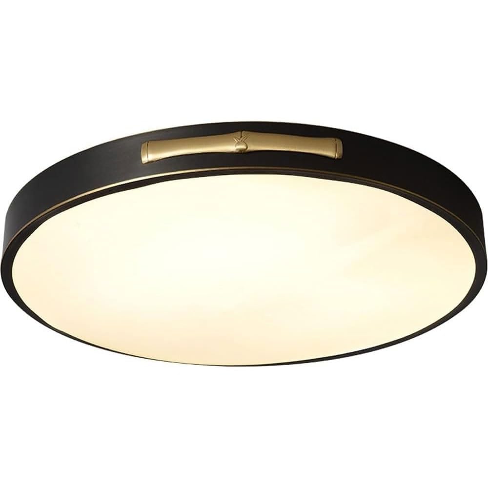 Luz de techo regulable LED de 30cm para iluminar con estilo el salón o dormitorio 7