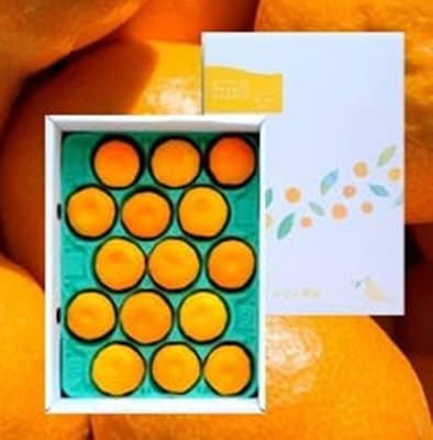 (2025年11月より順次発送)西宇和地区八幡浜産 愛媛みかん贈答用 15個入り(C25-97)