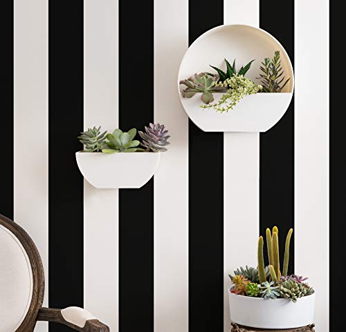 Bloem Bodye Half Moon Wall Mounted Hanging Planter 11" Charcoal Gray (Bod11908-Hm) #TOP3