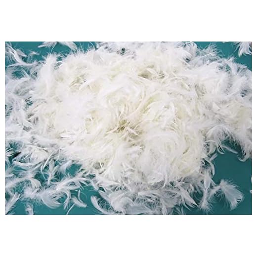 Bulk Goose Feather Filling for DIY,The Material is 100% White Goose Feathers,Make Your own Pillow,Comforter,Toy,Jacket,Sofa-Sample(20% Goose Feather,200g)