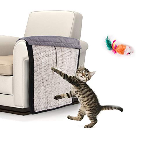 猫がソファーボロボロにするから Roroの物欲日記