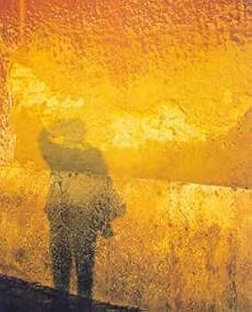 Amazon | Jean Baudrillard: Fotografiafien/Photographies