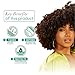 Olive Oil Max Moisture Super Soft Style Curl Defining Mousse infused with Rice Water & Electrolytes for Supercharged Hydration & Growth (7.0 oz)
