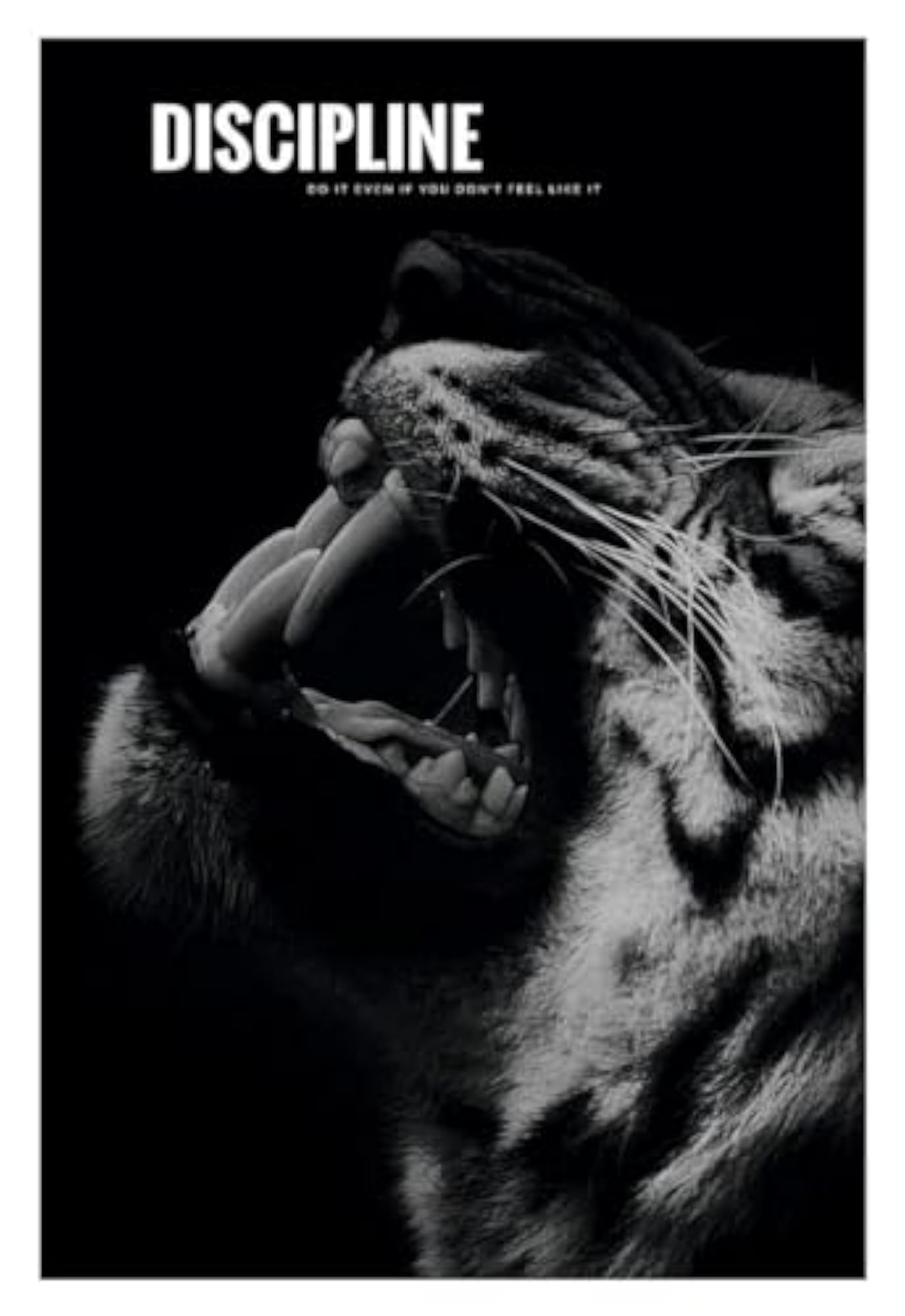 Tiger Discipline Motivational Wall Poster for Home & Office