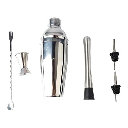 6 Piece Cocktail Shaker Bartender Kit, Stainless Steel Kit for Drink Mixing Home Lounge Party 750ml