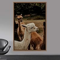 Framed Canvas Wall Art Camel Animals Camels Expressive Farmhouse/Country Living Room Multicolor Photography - 16x24 inches