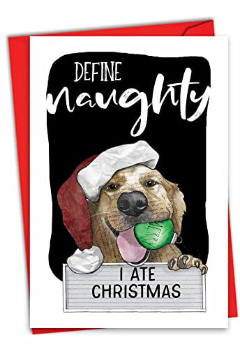 Carte de vœux de Noël NobleWorks chien amusante avec enveloppe