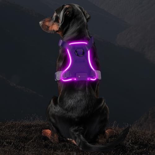 MASBRILL Light Up Harness, Rechargeable LED Dog Harness for Puppy to Large Dog 7 Colors, 9 Lighting Modes, Glowing