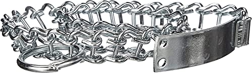 CG94 Collier pour chiens de 55 cm - lourd - en fer nickelé avec maille à échelle anneau et plaque d'identification Cover