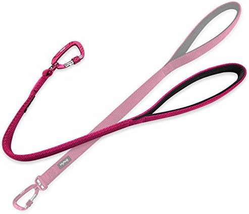 Premium Upgraded Traffic Durable Nylon Short Lead with Soft Padded Neoprene Lined Handle for Medium Large Giant Boy and Girl Dogs -Walking, Professional Training, Daily Use Lead. (18 Inch Long, Black)