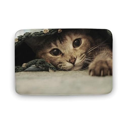 L   oX}bg \tg􂦂 z  փ}bg  O   傫 ~ Aj LN^[ @}bg   ʏ