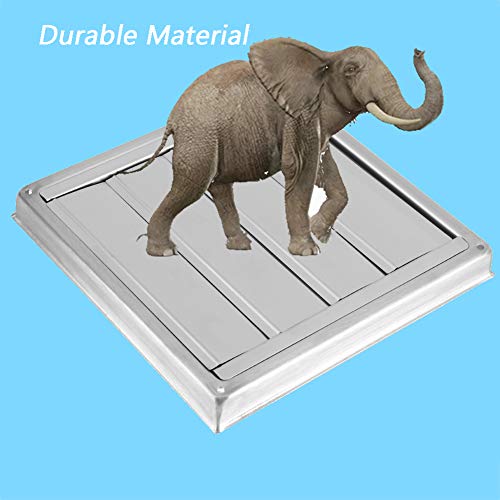Dryer Vent Cover Metal Dryer Vent Cap Exterior Wall Vent Hood Stainless Steel Air Vent Grille Cover Wall Duct Ventilation Grill Fan Outlet Airflow Vent Replacement Hood With Weather Proof Louvre #TOP2