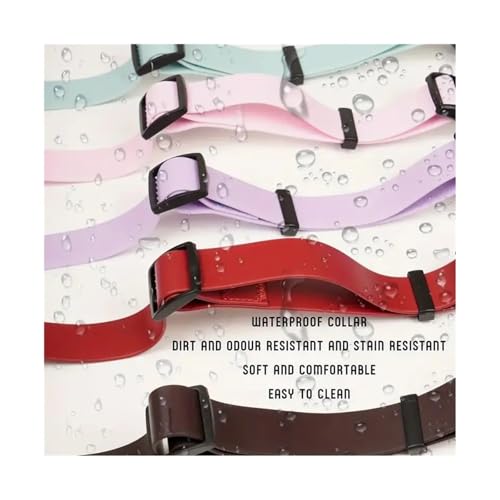 Collier et laisse pour chien en PVC étanche anti-saleté ajustable taille M rouge - 5