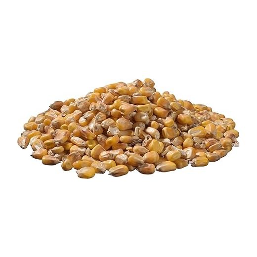 25kg Mais