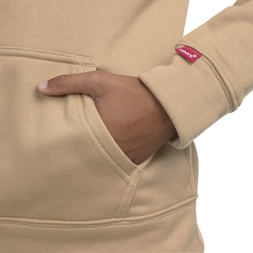 Image of Levi's Boy's Pullover Hoodie (Big Kids)