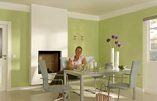 Knauf 4006379068470 EASYPUTZ Finishpinsel zur individuellen Gestaltung, weiche Borsten für ein optimales Strukturbild, ermöglicht vielfältige gestalterische Möglichkeiten