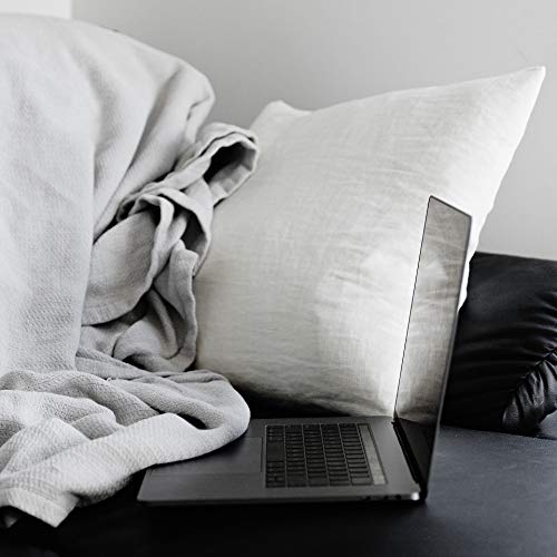 Edow Throw Pillow Insert, Set Of 2 Down Alternative Polyester Square Form Decorative Pillow, Cushion,Sham Stuffer. (White, 20X20) #TOP4