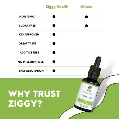 Olive Leaf Extract Liquid Tincture - Organic - Alcohol Free Dietary Supplement - Extra Strength - Cardiovascular And Overall Health Support - Vegan - 1 Oz By Ziggy Health #TOP4