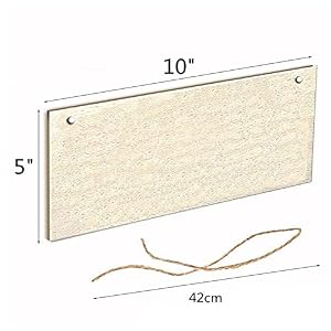 Proper Wipes Prevent Racing Stripes Home Decor Wood Sign Plaque 10 x 5 Hanging Wall Art Decorative Funny SignGarden SignBathroom Decor US G019