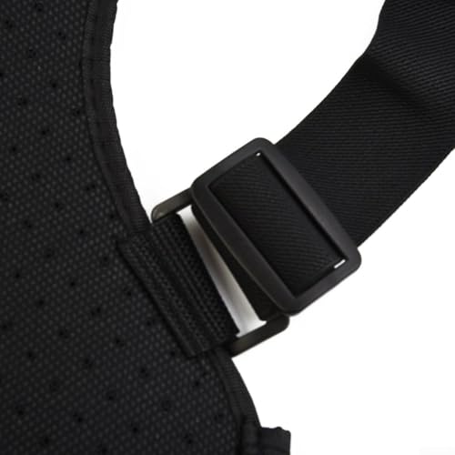 Motorcycle Back Protector Spine Armor Safety Guard EVA Pad Racing Body Protection Shield With Adjustable Waist Belt For Riding Skateboarding Skiing