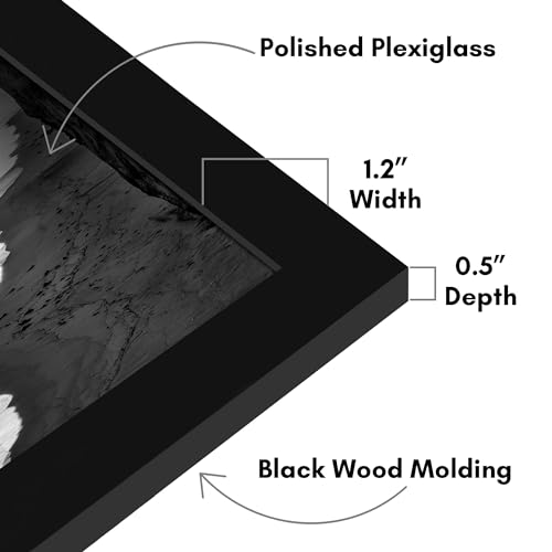 Americanflat 22x24 Picture Frame with Polished Plexiglass - Black Picture Frame - Wide Photo Frames Made of Engineered Wood for Vertical or Horizontal Wall Display - Epic Collection - Black