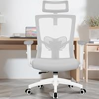 Daccormax Bürostuhl, Bürostuhl Ergonomisch mit Einstellbarer Kopfstütze, Lendenwirbelstütze und Armlehnen Schreibtischstuhl Drehstuhl Wippfunktion, Chefsessel, Rückenschonend 150kg – Ansicht 2
