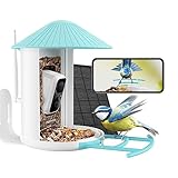 💕 Teilen Sie es mit Vogelliebhabern: Beobachten Sie nicht nur Vögel in Ihrem Garten, sondern erfahren Sie mehr über die weltweiten Vogelnachrichten! Unsere Gruppe von Vogelliebhabern entwickelt sich zur weltweit größten Gemeinschaft von Vogelliebhabern, darunter Anfänger, Bastler, Ornithologen und Vogelschutzgruppen. Sie werden eingeladen, mit ihnen zu diskutieren, Vogelvideos oder lustige Dinge zu teilen. Das ideale Geschenk für Natur und Vogelliebhaber!
