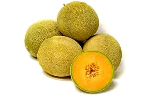 S-U-P-E-R Sweet~Sierra Gold CANTALOUPE Seeds x 2 Seeds in ALL