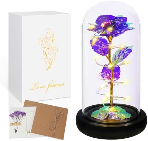 Childom Valentines Day Rose Gifts for Her,Birthday Gifts for Wome...