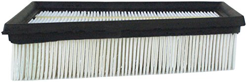 Luber-finer AF4029 Panel Heavy Duty Engine Air Filter for Nissan Sentra (2007-10) (Nissan 16546-ET000)